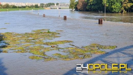 Stabilna sytuacja na Odrze w Opolu. Trwa akcja w Naroku