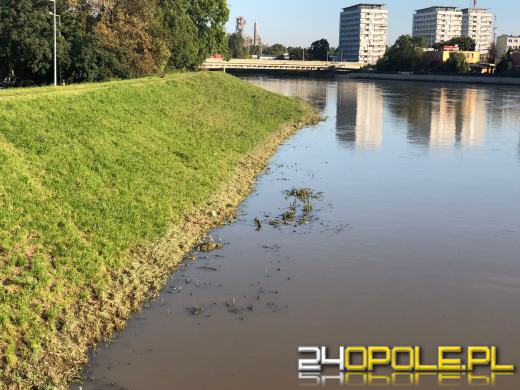 Poziom rzeki Odry spada - stan w Opolu Groszowicach wynosi 610 cm