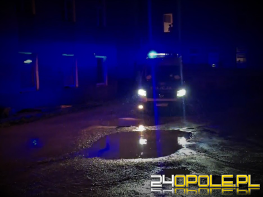 Policja z Żandarmerią Wojskową pod osłoną nocy patroluje tereny powodziowe