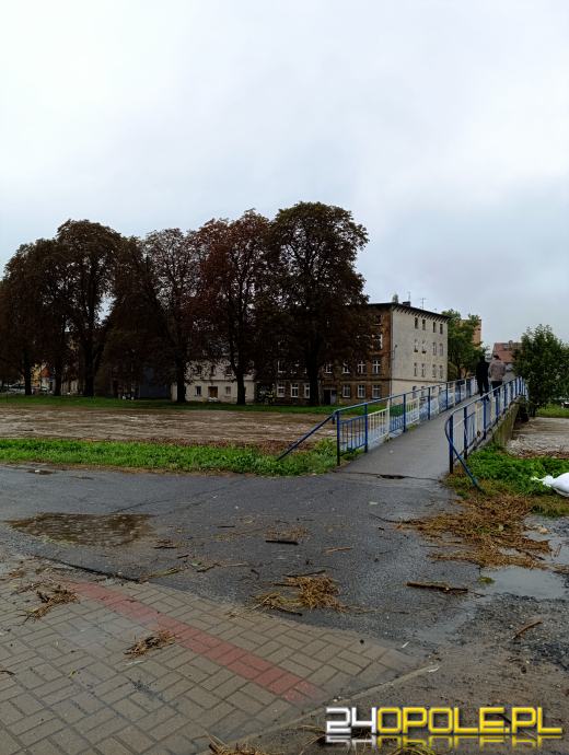 Województwo Opolskie: Ponad dwa miliardy złotych w stratach