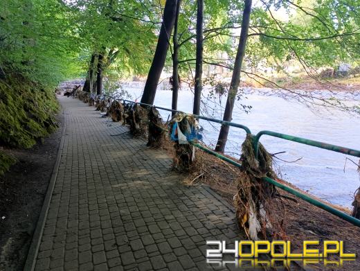 Województwo Opolskie: Ponad dwa miliardy złotych w stratach