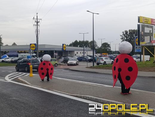 Biedronki do Lidla cię pokierują, czyli wojny marketingowej ciąg dalszy