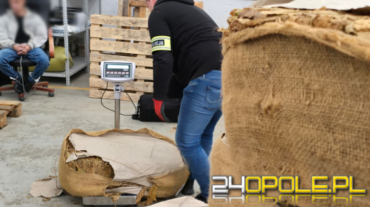 Policja z Lewina Brzeskiego z KAS zarekwirowali 2 tony tytoniu