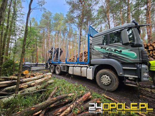Wypadek przy załadunku drewna w Osowcu: Mężczyzna ranny