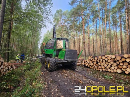 Wypadek przy załadunku drewna w Osowcu: Mężczyzna ranny