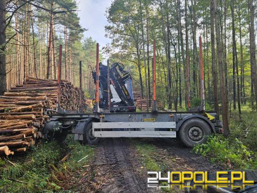 Wypadek przy załadunku drewna w Osowcu: Mężczyzna ranny