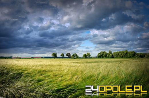 IMGW wydało ostrzeżenie przed silnym wiatrem