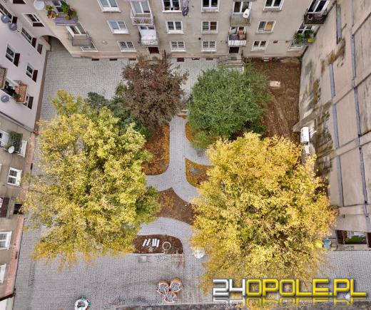 Rewitalizacja podwórka na ulicy Szpitalnej na ostatniej prostej