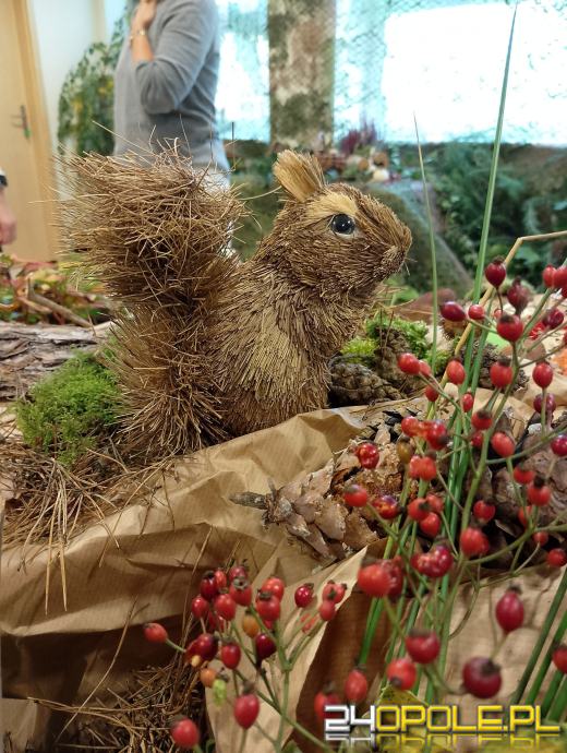 Sanepid zaprasza na wystawę świeżych grzybów w Opolu