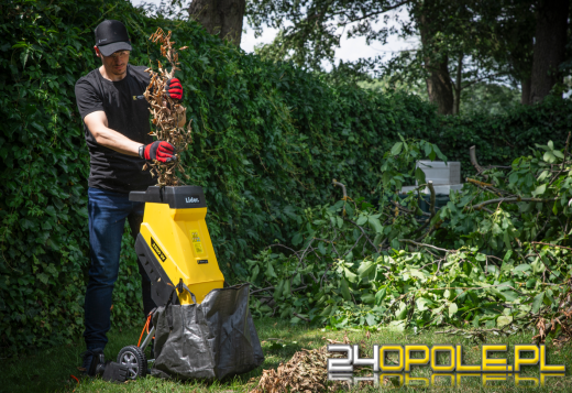Recykling ogrodowy: jak wykorzystać usunięte gałęzie?
