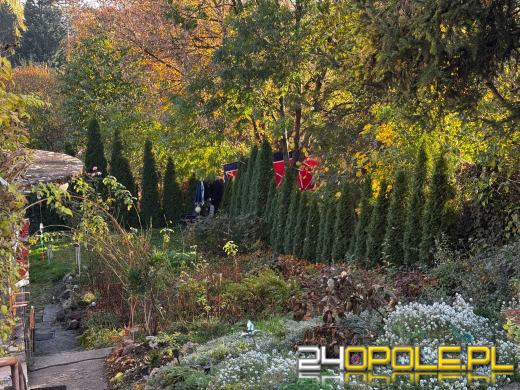 Ciało martwej osoby znalezione na ulicy Hallera w Opolu