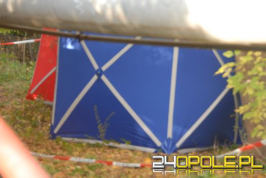 Ciało martwej osoby znalezione na ulicy Hallera w Opolu