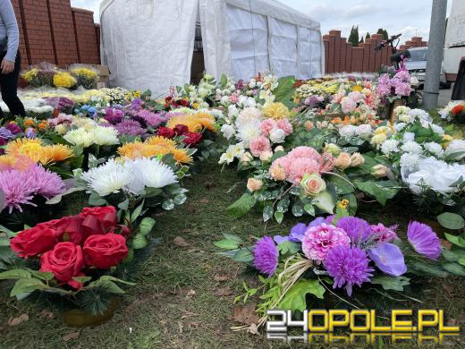 Chryzantemy bezapelacyjnym liderem na targach przy cmentarzach