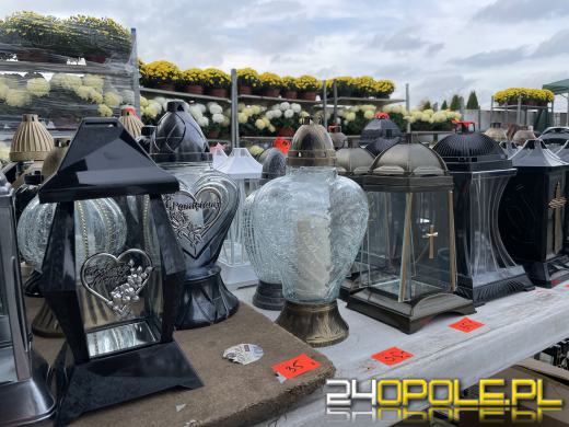 Chryzantemy bezapelacyjnym liderem na targach przy cmentarzach