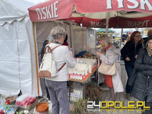 Chryzantemy bezapelacyjnym liderem na targach przy cmentarzach