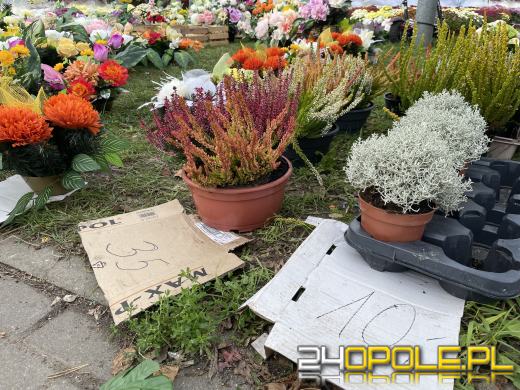 Chryzantemy bezapelacyjnym liderem na targach przy cmentarzach