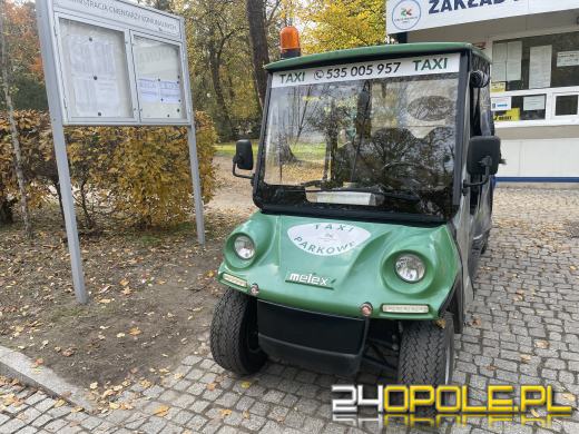 Po cmentarzu za darmo taksówką? Wystarczy, że zadzwonisz