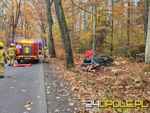 Śmiertelny wypadek w miejscowości Grabczok. Droga zablokowana