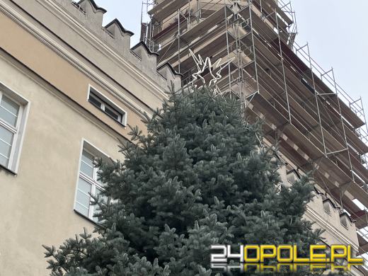 Choinka już obecna na Opolskim Rynku