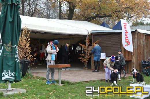 II Opolski Bieg Niepodległości w Opolu-Grudzicach przyciągnął blisko 300 biegaczy