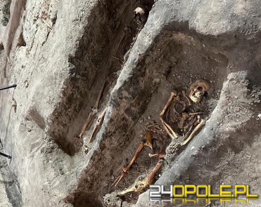 Wnuk Bolesława Krzywoustego, Mieszko Plątonogi spoczywa w Opolu? Są podstawy na tę teorię