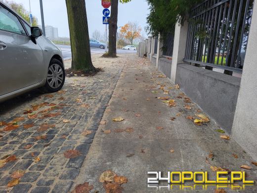 Podsumowanie ubiegłotygodniowych remontów i zapowiedź kolejnych prac drogowych