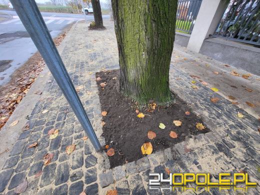 Podsumowanie ubiegłotygodniowych remontów i zapowiedź kolejnych prac drogowych