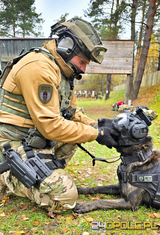 Pierwszy bojowy pies Policji na Opolszczyźnie. Poznajcie Thora