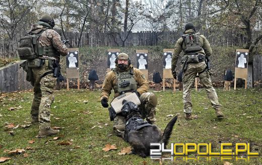 Pierwszy bojowy pies Policji na Opolszczyźnie. Poznajcie Thora
