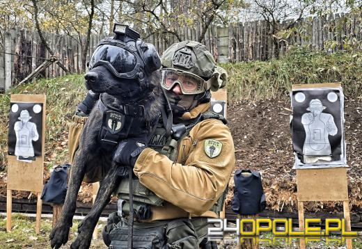 Pierwszy bojowy pies Policji na Opolszczyźnie. Poznajcie Thora