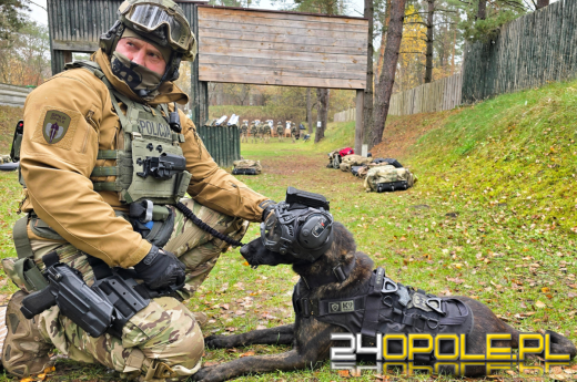 Pierwszy bojowy pies Policji na Opolszczyźnie. Poznajcie Thora