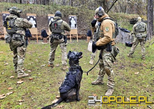 Pierwszy bojowy pies Policji na Opolszczyźnie. Poznajcie Thora