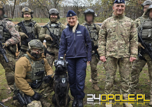 Pierwszy bojowy pies Policji na Opolszczyźnie. Poznajcie Thora