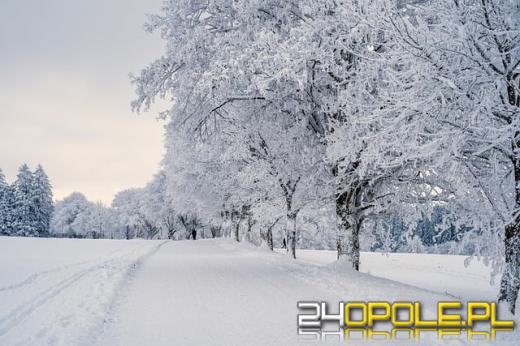 Czy czeka nas śnieżna i mroźna zima?