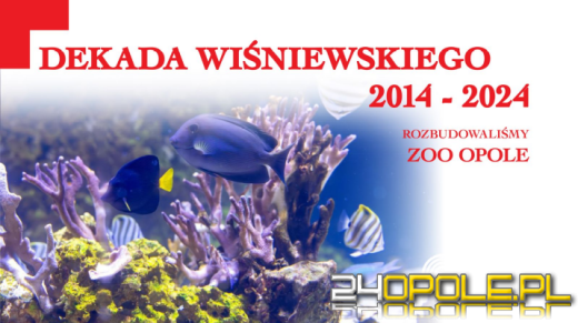 Dekada Wiśniewskiego, czyli podsumowanie 10 lat prezydentury miasta