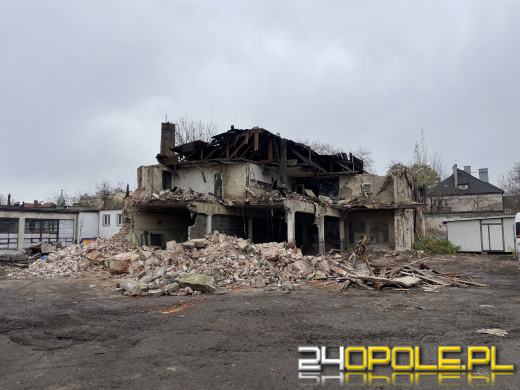 Wyburzanie idzie zgodnie z planem, a kotki odłowione