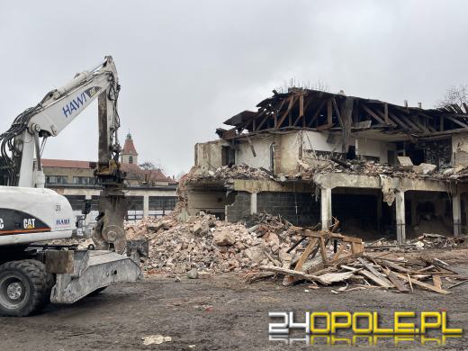 Wyburzanie idzie zgodnie z planem, a kotki odłowione