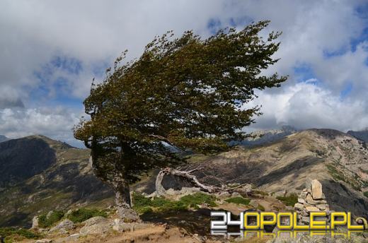 Ostrzeżenie meteorologiczne pierwszego stopnia dla powiatu opolskiego