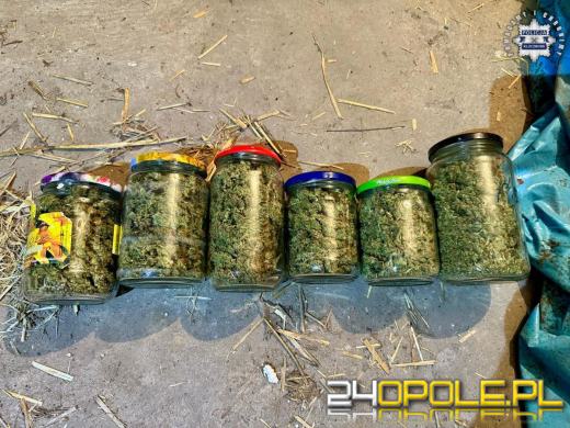  Kluczborscy kryminalni przejęli narkotyki za ponad 100 tysięcy złotych