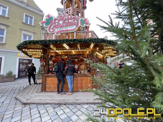 Zaznaj klimatu Świąt Bożego Narodzenia. Zobacz jak się prezentuje Opole