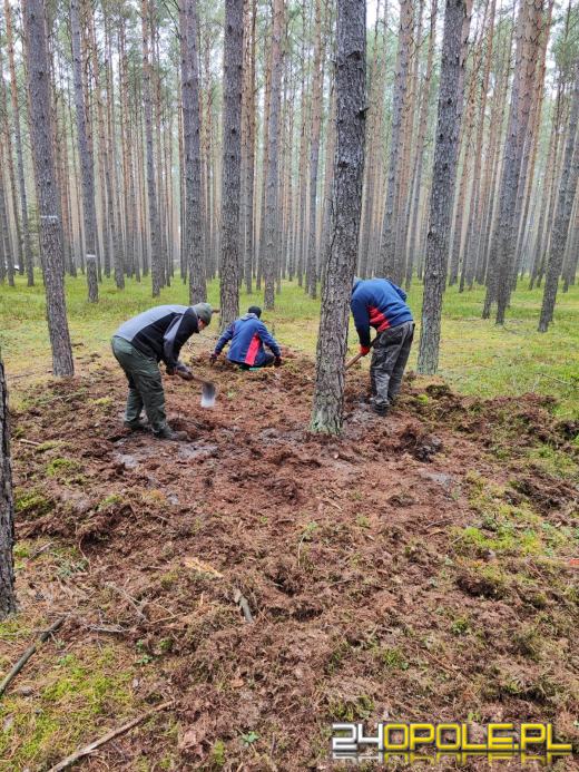 Wielkie poszukiwania w opolskich lasach? Czego szukają leśnicy?