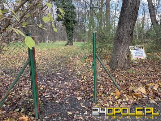 Cmentarz przy ul. Wrocławskiej będzie ocalony od zapomnienia (GALERIA)