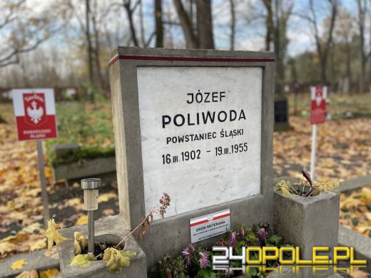 Cmentarz przy ul. Wrocławskiej będzie ocalony od zapomnienia (GALERIA)