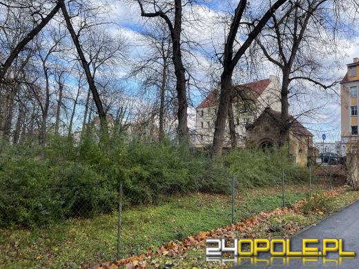 Cmentarz przy ul. Wrocławskiej będzie ocalony od zapomnienia (GALERIA)