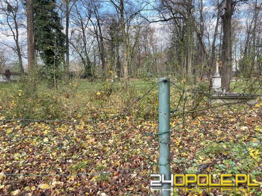 Cmentarz przy ul. Wrocławskiej będzie ocalony od zapomnienia (GALERIA)