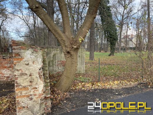 Cmentarz przy ul. Wrocławskiej będzie ocalony od zapomnienia (GALERIA)
