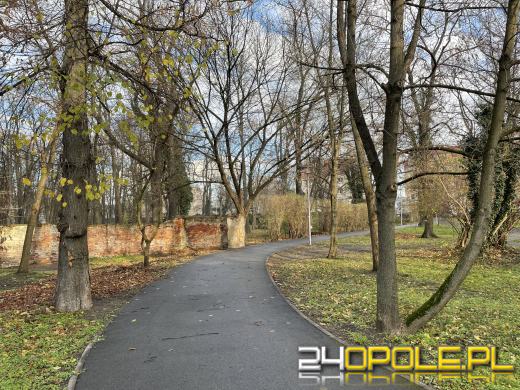 Cmentarz przy ul. Wrocławskiej będzie ocalony od zapomnienia (GALERIA)