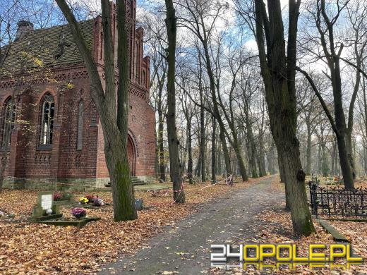 Cmentarz przy ul. Wrocławskiej będzie ocalony od zapomnienia (GALERIA)