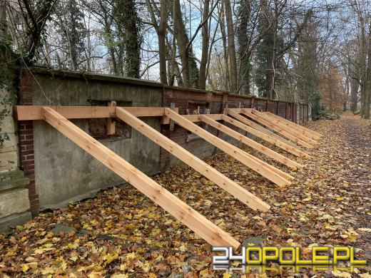 Cmentarz przy ul. Wrocławskiej będzie ocalony od zapomnienia (GALERIA)