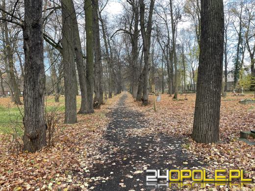 Cmentarz przy ul. Wrocławskiej będzie ocalony od zapomnienia (GALERIA)